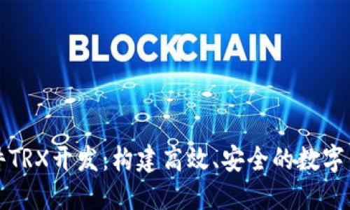 波点钱包软件TRX开发：构建高效、安全的数字钱包解决方案