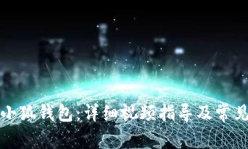 如何使用小狐钱包：详细视频指导及常见问题解析