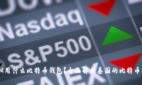 : 泰国3M用什么比特币钱包？全面解析泰国的比特币钱包选择