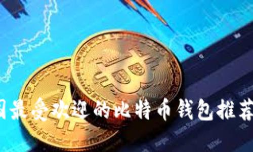2023年美国最受欢迎的比特币钱包推荐及使用指南