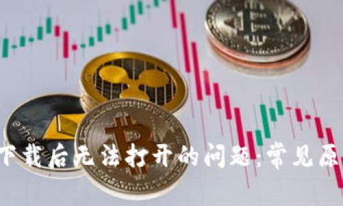解决BitDock下载后无法打开的问题：常见原因及解决方案