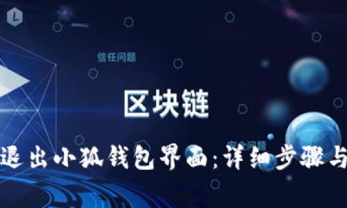 如何安全退出小狐钱包界面：详细步骤与注意事项