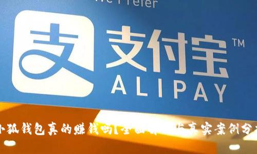 小狐钱包真的赚钱吗？全面解析与真实案例分析