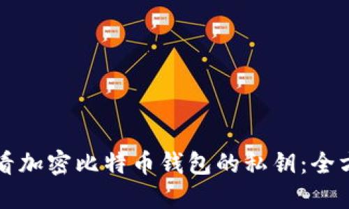 如何查看加密比特币钱包的私钥：全方位指南