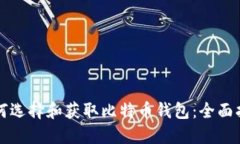 如何选择和获取比特币钱包：全面指南