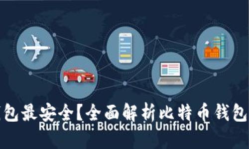 比特币存什么钱包最安全？全面解析比特币钱包的安全性及选择