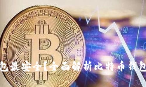 比特币存什么钱包最安全？全面解析比特币钱包的安全性及选择