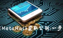 如何使用MetaMask获取公钥：