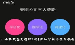 : 小狐钱包支持FIL吗？深入