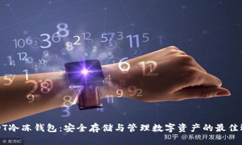 USDT冷冻钱包：安全存储与管理数字资产的最佳选择