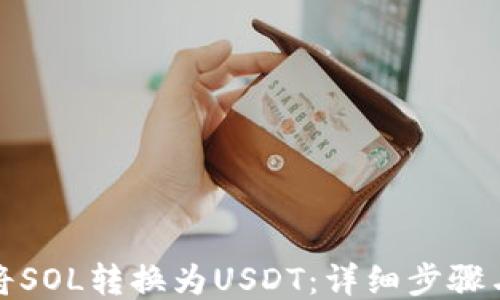 
如何将SOL转换为USDT：详细步骤与技巧