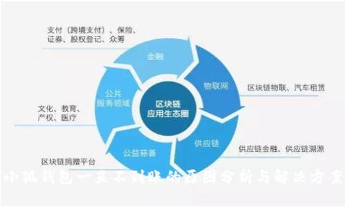 小狐钱包一直不到账的原因分析与解决方案