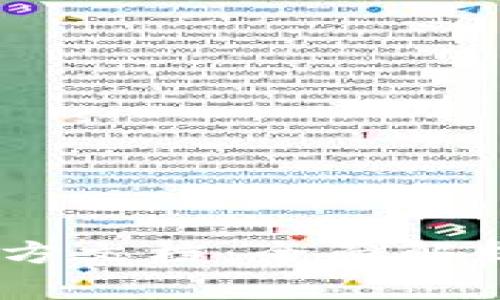 USDT钱包官方文档：全面解析与使用指南