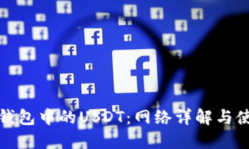 : 小狐钱包中的USDT：网络详解与使用指南