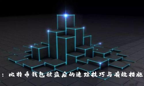 : 比特币钱包被盗后的追踪技巧与有效措施