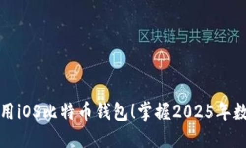 现在就开始使用iOS比特币钱包！掌握2025年数字货币的未来