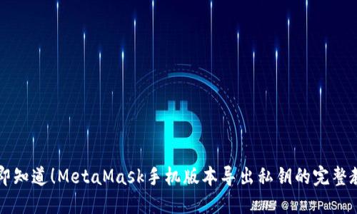 立即知道！MetaMask手机版本导出私钥的完整教程
