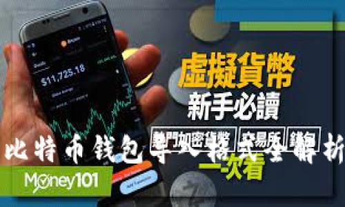 2025必看：比特币钱包导入格式全解析，立即掌握！