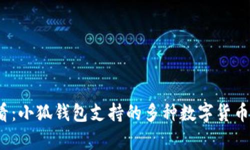 2025必看：小狐钱包支持的多种数字货币存储指南
