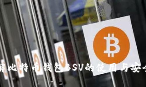 2025必看：详解比特币钱包BSV的使用与安全性，立即了解！