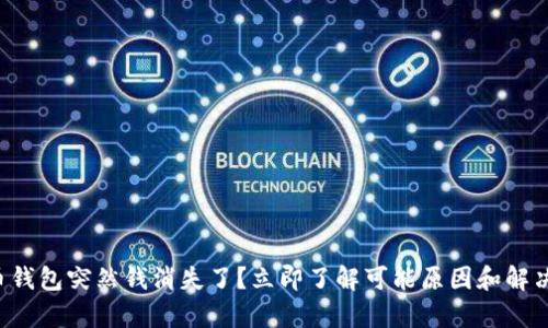 泰达币钱包突然钱消失了？立即了解可能原因和解决方案！