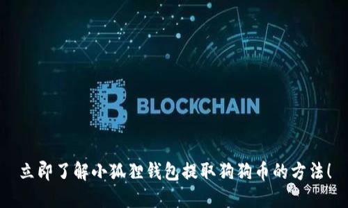 立即了解小狐狸钱包提取狗狗币的方法！