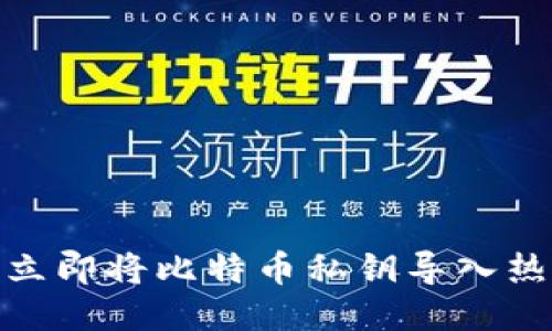 2025必看：如何立即将比特币私钥导入热钱包的详细指南