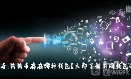 2025必看：狗狗币存在哪种钱包？立即了解不同钱包的优缺点