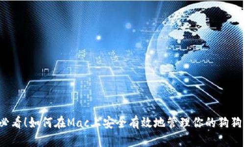 2025必看！如何在Mac上安全有效地管理你的狗狗币钱包