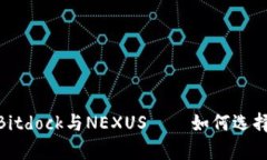 2025必看：深入解析Bitdoc