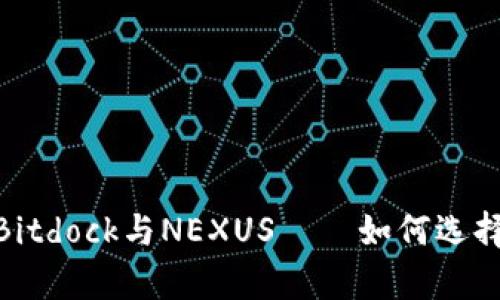 2025必看：深入解析Bitdock与NEXUS——如何选择最佳区块链解决方案