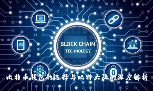 比特币钱包的选择与比特大陆的深度解析