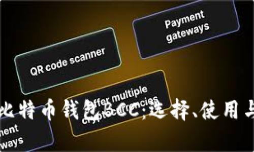 全面解析比特币钱包BCC：选择、使用与安全指南