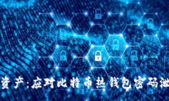 : 保护你的数字资产：应对