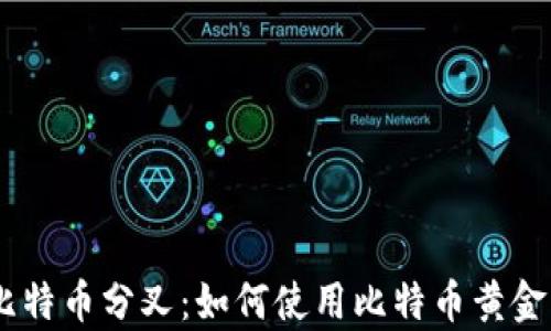 
全面解析比特币分叉：如何使用比特币黄金（BTG）钱包