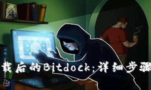 如何打开下载后的Bitdock：详细步骤与注意事项